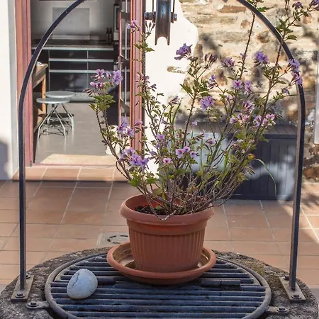 Apartment Luz Del Tajo