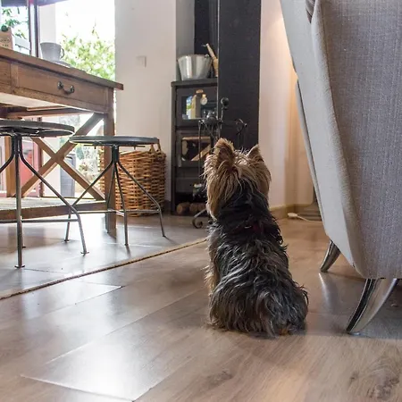 Apartment Luz Del Tajo