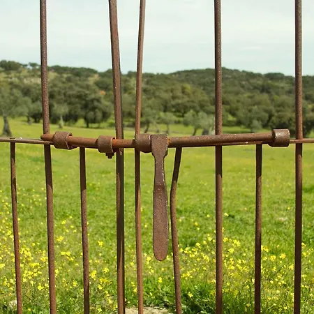 Luz Del Tajo Apartment Alcántara