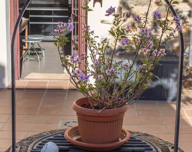 Apartamento Luz Del Tajo