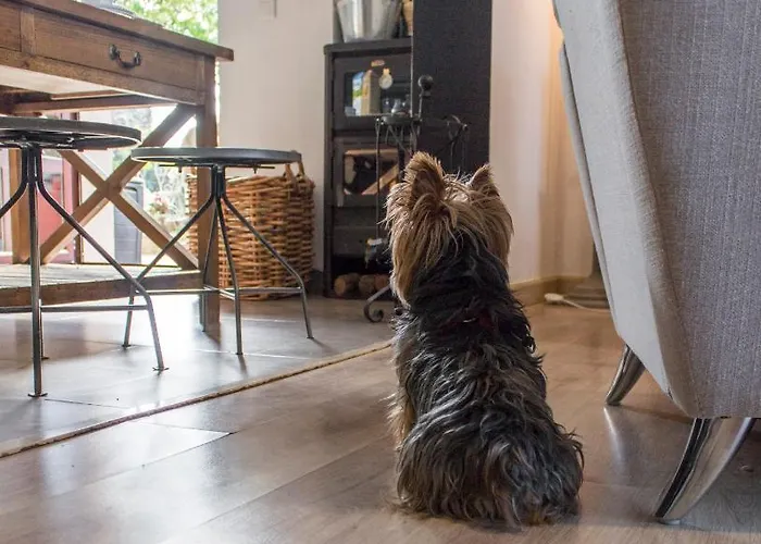 Apartamento Luz Del Tajo