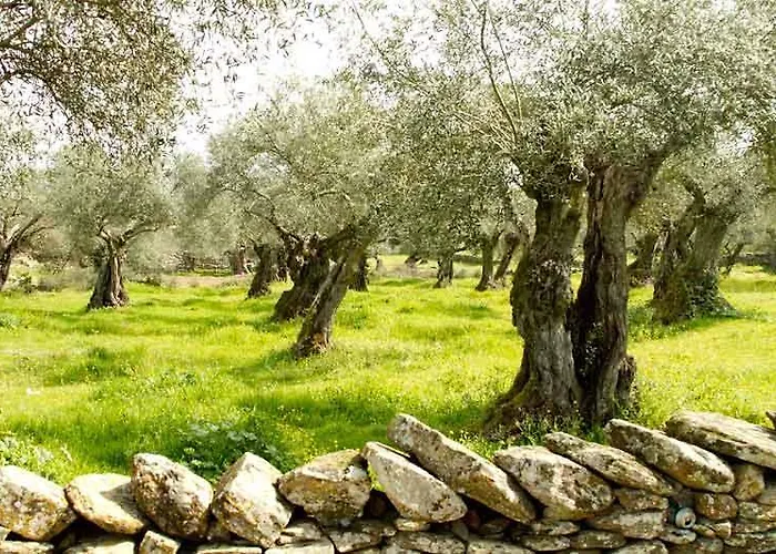 Luz Del Tajo * Alcántara