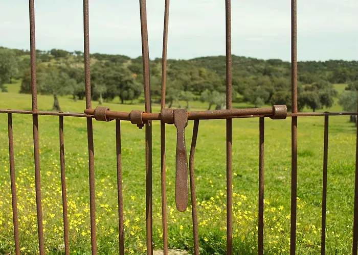 Luz Del Tajo Apartment Alcantara (Caceres)